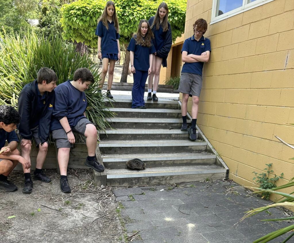 Mt Evelyn Campus - Yarra Hills Secondary College